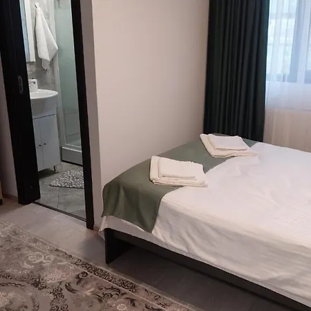 Guest house Pensiunea Antonia