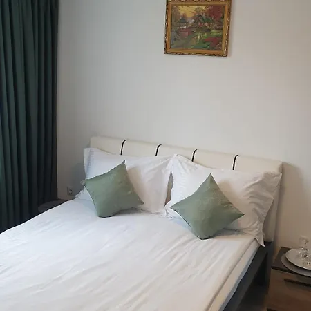 Guest house Pensiunea Antonia