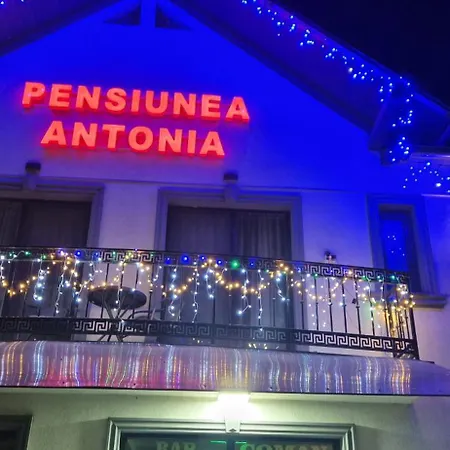 Pensiunea Antonia *